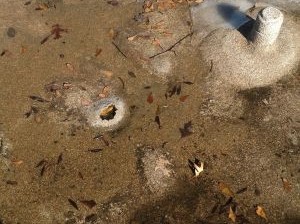 Commercial Roof Inspection Shelbyville, IN 2