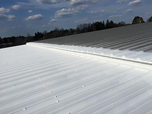 Commercial Roof Restoration Shelbyville, IN 1